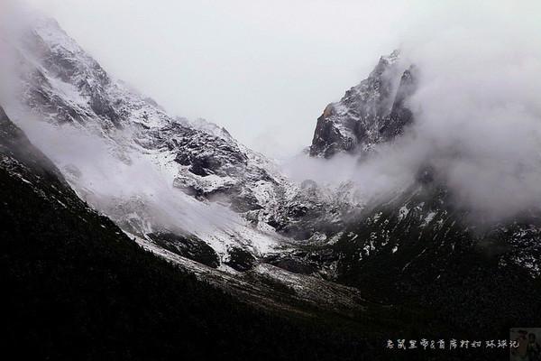愤怒的小鸟