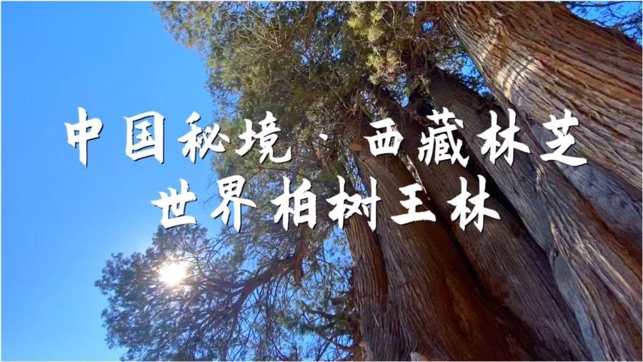 时尚女王颁奖典礼