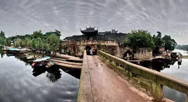 拯救蝙蝠家族